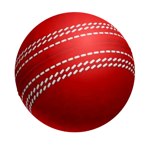 Vaidabet (Vaidebet) Sports Betting Cricket